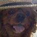 Ernie Randolph - Facebook
