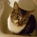 Ernest Rille - Facebook