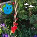 Ernestena Ridley - Facebook