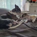 Ernest Debroux - @ernest.debroux - Instagram