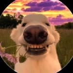 Ernest Rutkowski - @skibidi23728473 - Instagram