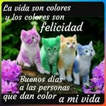 Ernesto Sabogal - @ernesto.sabogal.37 - Instagram