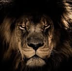 Ernest Saint Bénifils - Facebook
