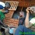 Ernest Samuel - Facebook