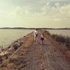 Ernest Schmidt - @ernest.schmidt1 - TikTok