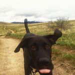 Ernest Hemingway Joy Sewell - @ernesthemingwayjoysewell - Instagram