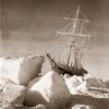 ernest Shackleton 🚢 - @ernestshackletonoffical - TikTok