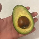 ERNEST STARR - @ernest.shorts - Instagram