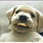 Ernest Singleton - @ernest3083_._ - Instagram