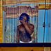 Knowladge Singleton - Facebook