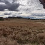 Rachel & Ernest · Small Scale Regen Ag - @akunaacres - Instagram
