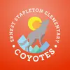 ernest - @stapleton..guesswhoo - TikTok