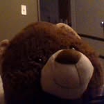 Ernest starnes - @lucid_bear44 - Instagram