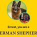 Ernest Steele - Facebook