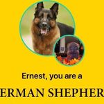 Ernest Steele - @ernest_steele - Instagram