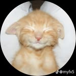 @ernest_ball_street - Instagram