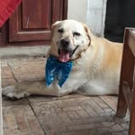 Ernesto Suarez - @ernesto.suarez.52 - Instagram
