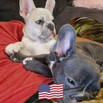 Ernest E Sullivan - @ernestsullivan4387 - Instagram