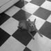 Ernest Sutton - Facebook