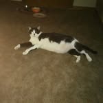 Ernest Talbert - @talberternest - Instagram