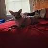 Ernest Torres - @ernest.torres3 - TikTok