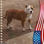 Ernest Torres - @ernest.torres.5686 - Instagram
