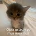 Ernest Torres - Facebook