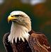 Earnest Townsend - Facebook