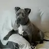 ernesttownsend919 - @ernesttownsend919 - TikTok