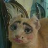 ernest - @chupacutie - TikTok