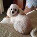 Ernest Triplett - Facebook