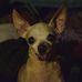 Ernest Velasco - Facebook