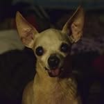 Ernest Velasco - @velascoernest - Instagram