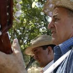 Ernesto Viola e Edvaldo - @ernestoviolaeedvaldo - Instagram