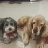 Ernestovolker - @ernestovolker - TikTok