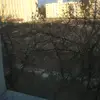 Erni volkov - @ernest_volkov - TikTok