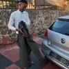 Ernest Wale cnk - @ernest.wale.cnk - TikTok
