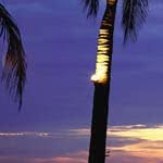 Ernest_Waller - @ernest_wallerp - Instagram