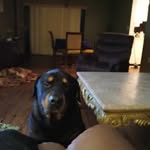 Ernest Waller - @ernest.waller.16 - Instagram