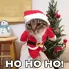 Ernestine Walls - @ernestinewalls9632 - TikTok