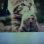 Ernest Walters - @ernestwltrs - Instagram