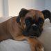 Ernest Warren - Facebook
