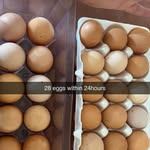 Ernest Washington - @ernestwashington6 - Instagram