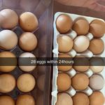 Ernest Washington - @ernestwashington6 - Instagram