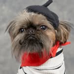Ernest Wiggles Whitaker - @the.importance.of.being_ernie - Instagram