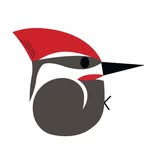 Camp Wildernest - @campwildernestwildlife - Instagram