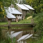 Wildernest - @wildernestwales - Instagram