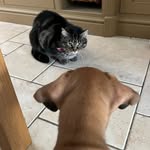 Ernest & Winston Burns - @ernestandwinston - Instagram