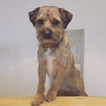 Winston Williams - @winstonernestwilliams - Instagram
