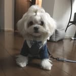 Ernest _Y - @ernestyang23 - Instagram